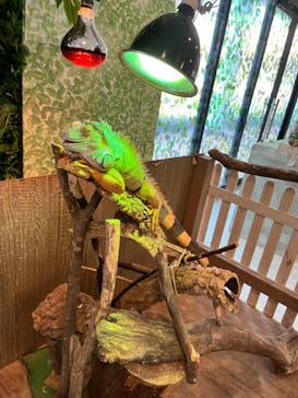 Moff animal world BIGHOPガーデンモール印西店に投稿された画像（2024/8/14）