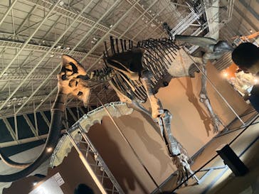 巨大恐竜展2024に投稿された画像（2024/8/14）