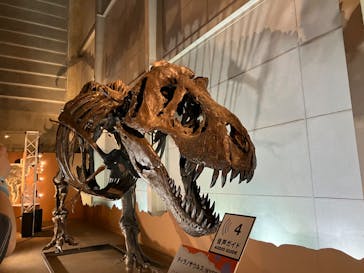 巨大恐竜展2024に投稿された画像（2024/8/14）