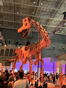 巨大恐竜展2024に投稿された画像（2024/8/14）