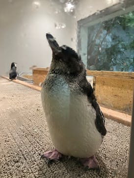 AOAO SAPPOROに投稿された画像（2024/8/14）