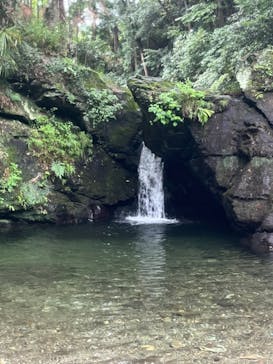 フォレストカレッジに投稿された画像（2024/8/14）