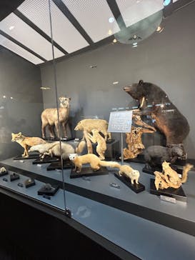 滋賀県立琵琶湖博物館に投稿された画像（2024/8/14）