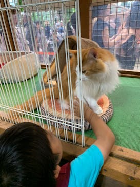 神戸どうぶつ王国に投稿された画像（2024/8/14）