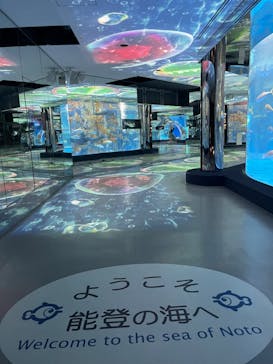 のとじま水族館に投稿された画像（2024/8/14）