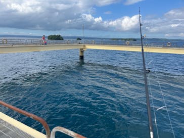 のとじま水族館に投稿された画像（2024/8/14）