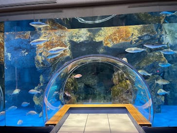 のとじま水族館に投稿された画像（2024/8/14）