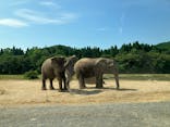 秋吉台自然動物公園 サファリランドに投稿された画像（2024/8/14）