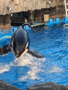 名古屋港水族館に投稿された画像（2024/8/14）