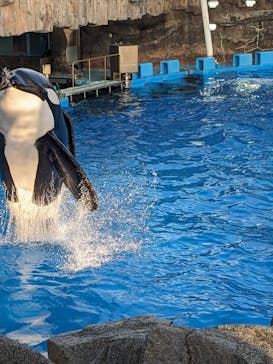 名古屋港水族館に投稿された画像（2024/8/14）