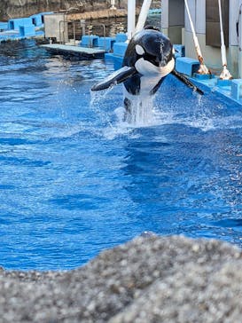 名古屋港水族館に投稿された画像（2024/8/14）