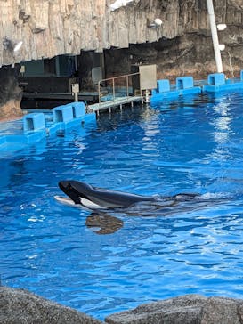 名古屋港水族館に投稿された画像（2024/8/14）