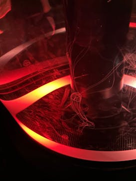 マクセル アクアパーク品川に投稿された画像（2024/8/14）