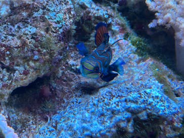 マクセル アクアパーク品川に投稿された画像（2024/8/14）