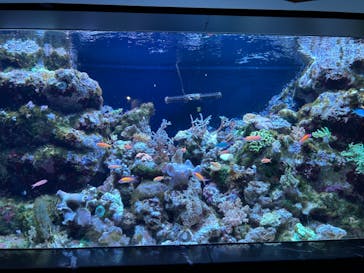 マクセル アクアパーク品川に投稿された画像（2024/8/14）