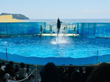 新江ノ島水族館に投稿された画像（2024/8/14）