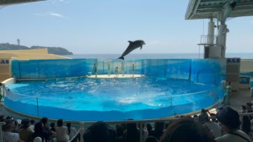 新江ノ島水族館に投稿された画像（2024/8/14）
