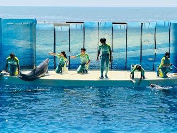 新江ノ島水族館に投稿された画像（2024/8/14）