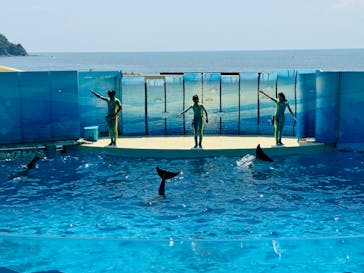 新江ノ島水族館に投稿された画像（2024/8/14）