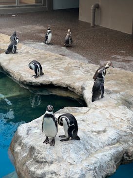 アクアワールド茨城県大洗水族館に投稿された画像（2024/8/14）