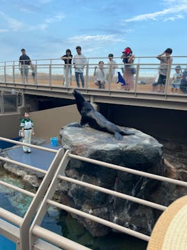 アクアワールド茨城県大洗水族館に投稿された画像（2024/8/14）