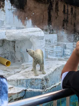 天王寺動物園に投稿された画像（2024/8/14）