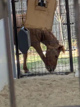 天王寺動物園に投稿された画像（2024/8/14）