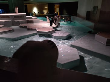 AOAO SAPPOROに投稿された画像（2024/8/14）