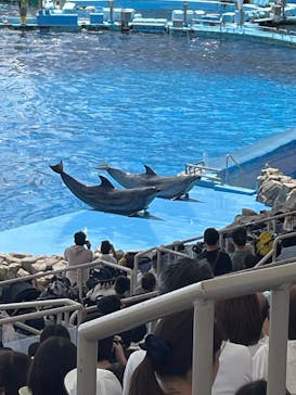 名古屋港水族館に投稿された画像（2024/8/14）
