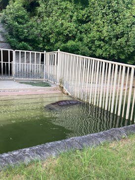 名古屋市東山動植物園に投稿された画像（2024/8/14）