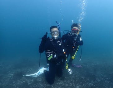 ダイビングショップPeaceful（ピースフル）に投稿された画像（2024/8/14）