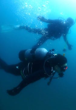 ダイビングショップPeaceful（ピースフル）に投稿された画像（2024/8/14）