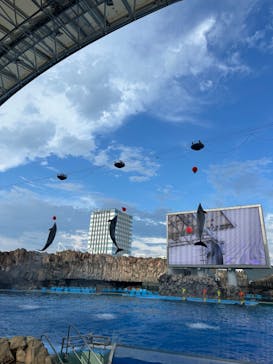 名古屋港水族館に投稿された画像（2024/8/14）