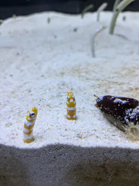 すみだ水族館に投稿された画像（2024/8/14）