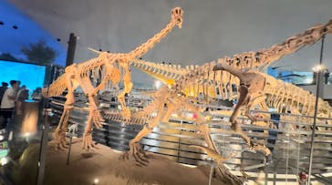 福井県立恐竜博物館に投稿された画像（2024/8/14）
