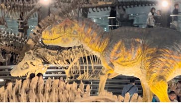 福井県立恐竜博物館に投稿された画像（2024/8/14）