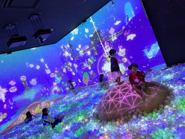 リトルプラネット ダイバーシティ東京 プラザに投稿された画像（2024/8/14）