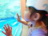 しながわ水族館に投稿された画像（2024/8/14）