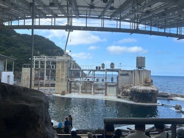 城崎マリンワールドに投稿された画像（2024/8/14）