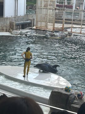 城崎マリンワールドに投稿された画像（2024/8/14）