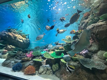 城崎マリンワールドに投稿された画像（2024/8/14）