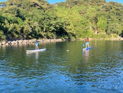 橋杭ビーチ ビーチハウス・ラパンに投稿された画像（2024/8/14）