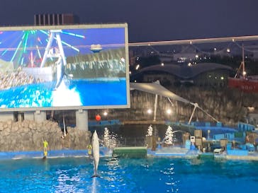 名古屋港水族館に投稿された画像（2024/8/14）