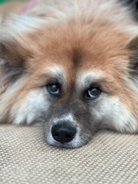 阿蘇カドリー・ドミニオンに投稿された画像（2024/8/14）