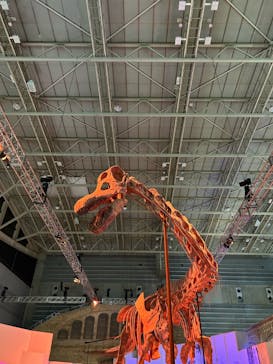 巨大恐竜展2024に投稿された画像（2024/8/14）
