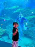 仙台うみの杜水族館に投稿された画像（2024/8/14）