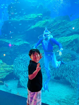 仙台うみの杜水族館に投稿された画像（2024/8/14）