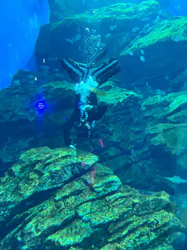 仙台うみの杜水族館に投稿された画像（2024/8/14）