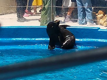 大分マリーンパレス水族館 「うみたまご」に投稿された画像（2024/8/14）