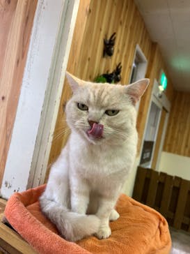 那須どうぶつ王国に投稿された画像（2024/8/14）